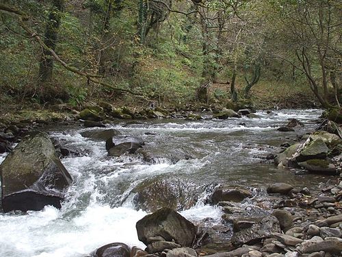 River Afan